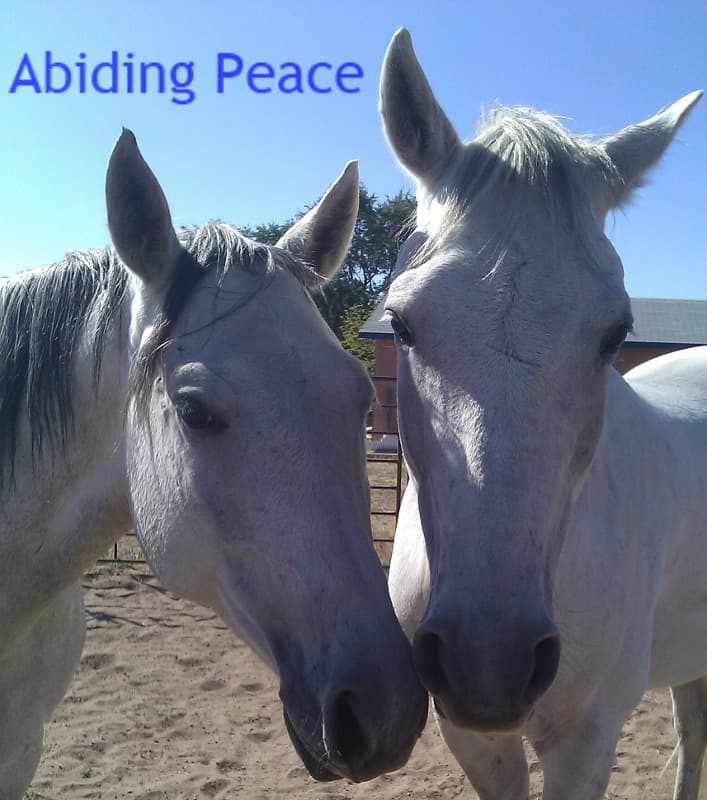 Abiding Peace