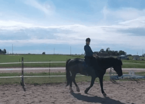 #14 Back in the Saddle: Riding Point to Point