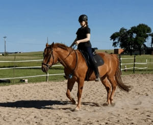 #15 Back inthe Saddle: A Safe Trot Transition