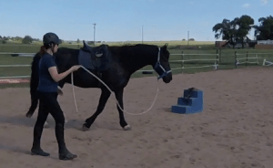 #2 Back in the Saddle:  Warmup, Leading From Behind, Response Time