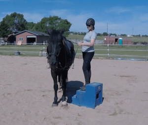 #4 Back in the Saddle: A Short Walk with Calming Signals, Pt 1