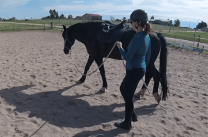 #7 Back in the Saddle: Advice for the Ground Person