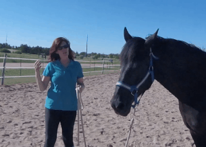 #8 Back in the Saddle: A Day to Not Ride