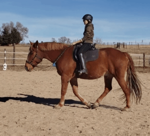 Intro to Dressage Rhymes with Massage