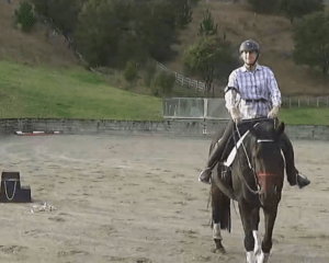 Short Riding lesson with Debbie and her Young Mare, Cleo