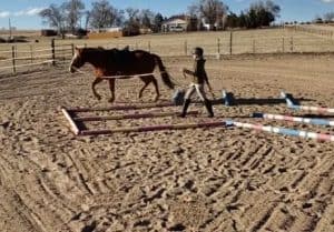 #2 Lunging the Home Obstacle