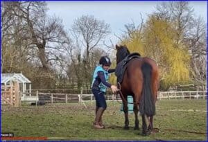 Carolyn and Cara, Longlines and Mounting Block