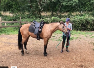 LFB: Welcome, Cara and her mare, Sienna