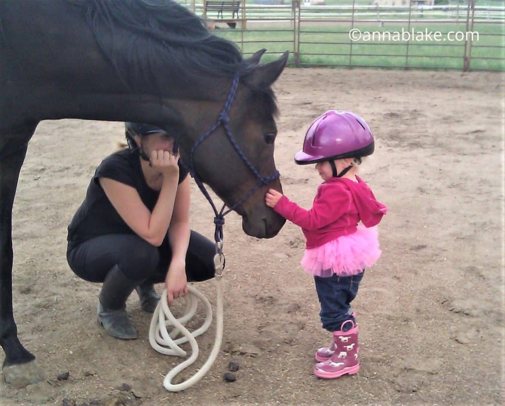 horses and confidence, learning about horses. 