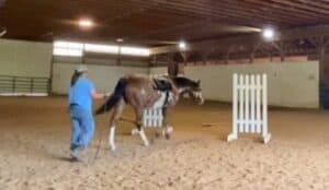 Ground Driving with Patti and Crazy Horse