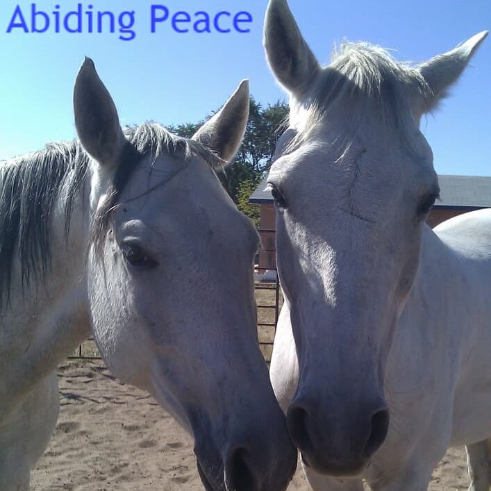 Abiding Peace