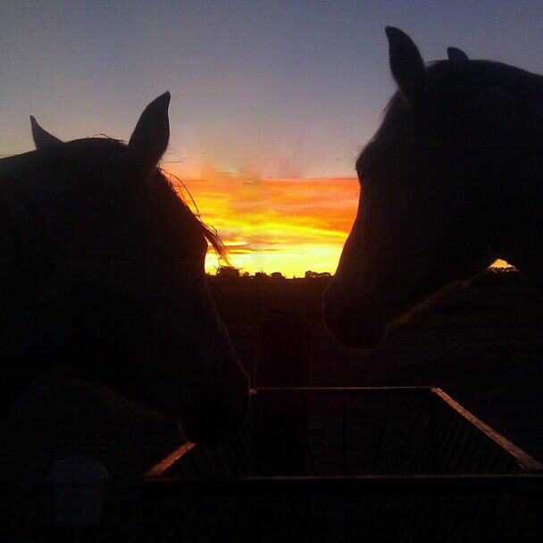 sunsetdinner